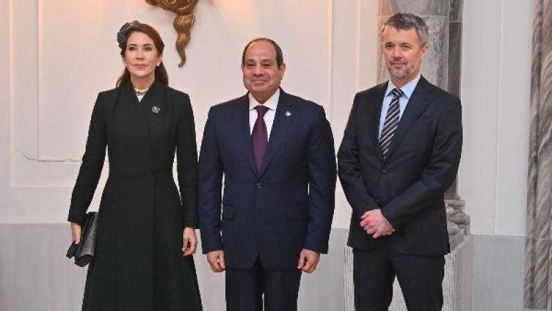 طارق فهمي: توقيت زيارة الرئيس السيسي للدنمارك متعلق بالسلام في الشرق الأوسط