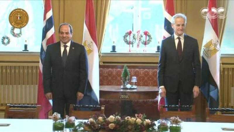 الرئيس السيسي يؤكد اهتمام مصر بالاستثمار والتوسع في إنتاج الطاقة الخضراء