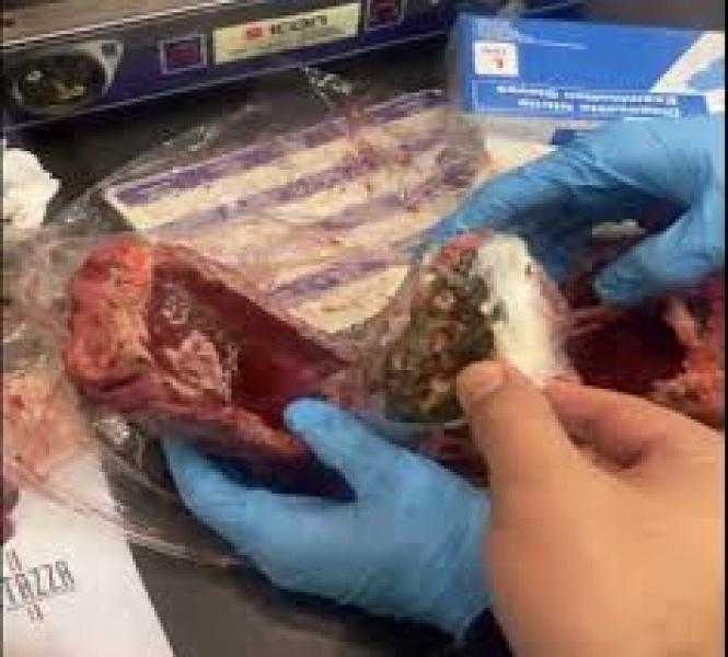 لحمة بنكهة الحشيش.. ضبط لحوم مجمدة محشوة مخدرات بمطار القاهرة