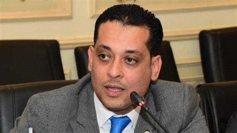 برلمانى: جولة الرئيس السيسى الأوروبية فرصة لتعزيز الشراكات الاستراتيجية