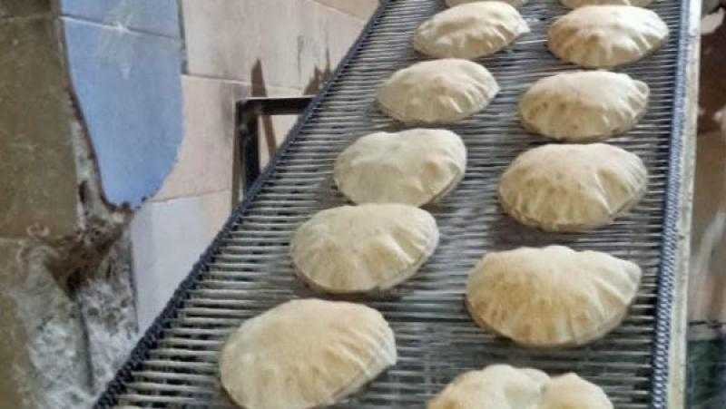 محافظ كفر الشيخ: تحرير 9 محاضر مخالفات تموينية بقلين