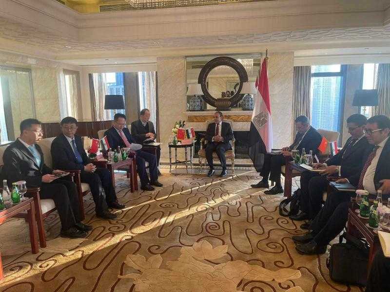 وزير الخارجية: نستهدف اجتذاب الصناعات ذات الأولوية بالنسبة لمصر وتوطينها محليًا