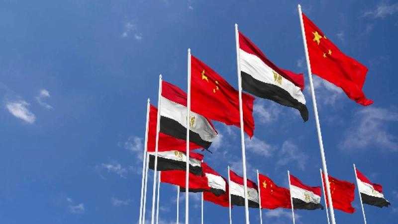 طارق فهمي: مصر تعتبر شريكًا مهمًا للصين في الشرق الأوسط