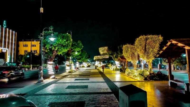 محافظة الأقصر: تزيين الشوارع والميادين بأشجار الكريسماس والإضاءة الملونة