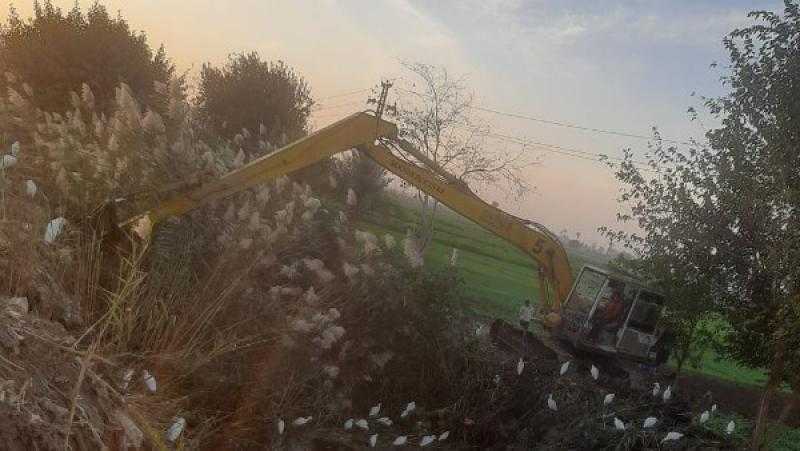 محافظ أسيوط: حملة تطهير بترع ساحل سليم وديروط لوصول المياه لنهايتها