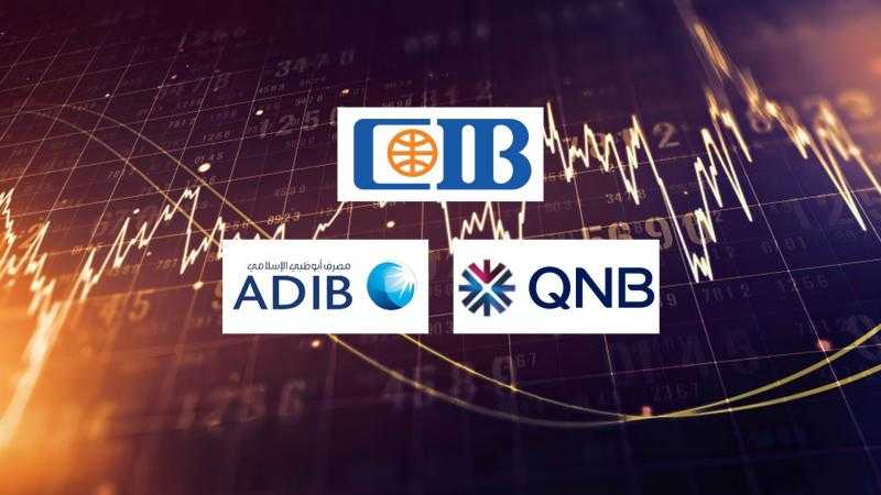 ودائع الأفراد بـ CIB وQNB تتجاوز 737.1 مليار جنيه بنهاية سبتمبر 2024