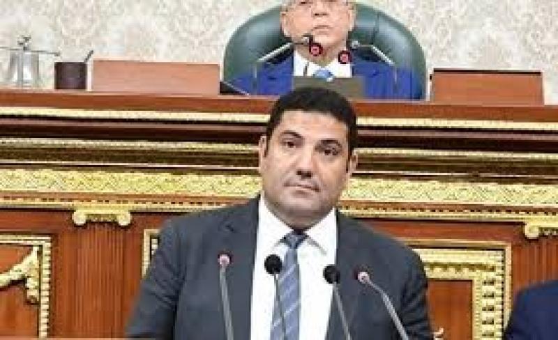 أحمد عبد المجيد: عقد قمة الدول الثماني في مصر مكسب دولي كبير وكلمة الرئيس قدمت رؤى لأزمات حادة وعميقة
