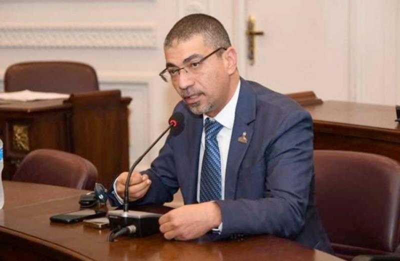 عضو بالشيوخ: بناء الجمهورية الجديدة يشمل تنمية الإنسان وتعزيز مكانة مصر عالميا