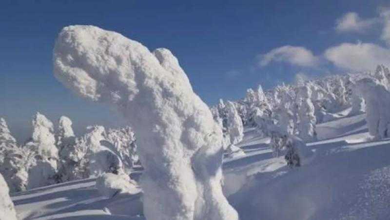جبل زاو.. موطن وحوش الثلج في اليابان.. تقرير