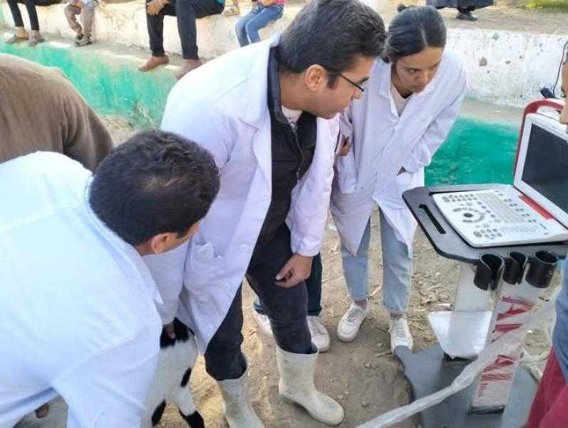 ”طب بيطري” أسوان تستعد لانطلاق الحملة القومية الأولى لتحصين الثروة الحيوانية
