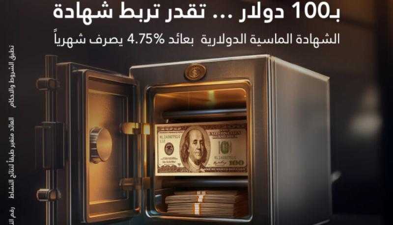 بعائد 4.75 % يصرف شهرياً.. تفاصيل ومزايا الشهادة الماسية الدولارية من بنك البركة