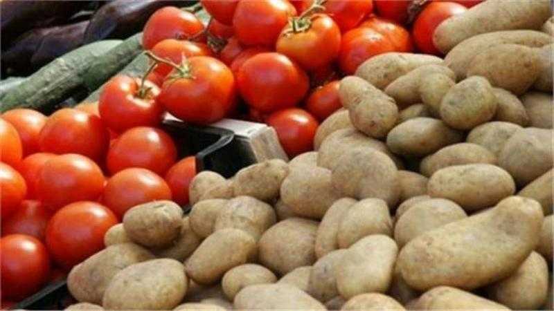 مناشدة عاجلة من نقيب الفلاحين لوزارة الزراعة بشأن البطاطس