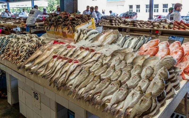 أسعار الأسماك اليوم في سوق المنيب بالجيزة.. البلطي يبدأ من 68 جنيها