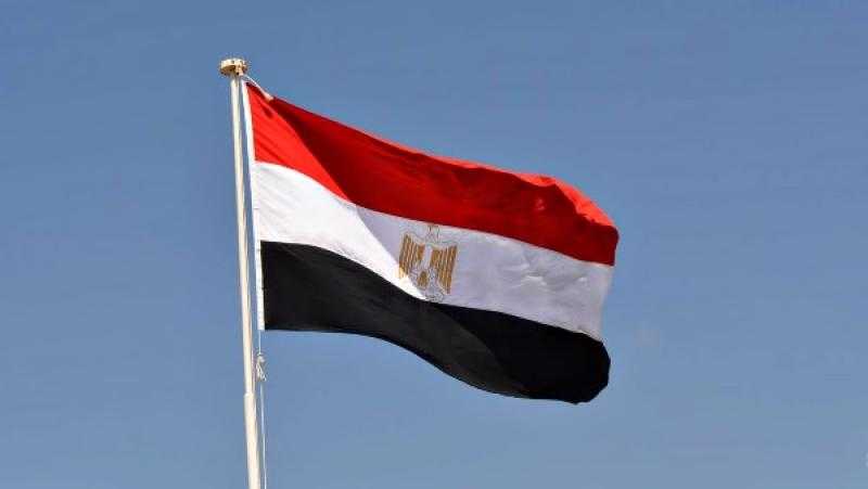 نائب: مصر نموذج للمساندة الإنسانية وسط أزمات المنطقة