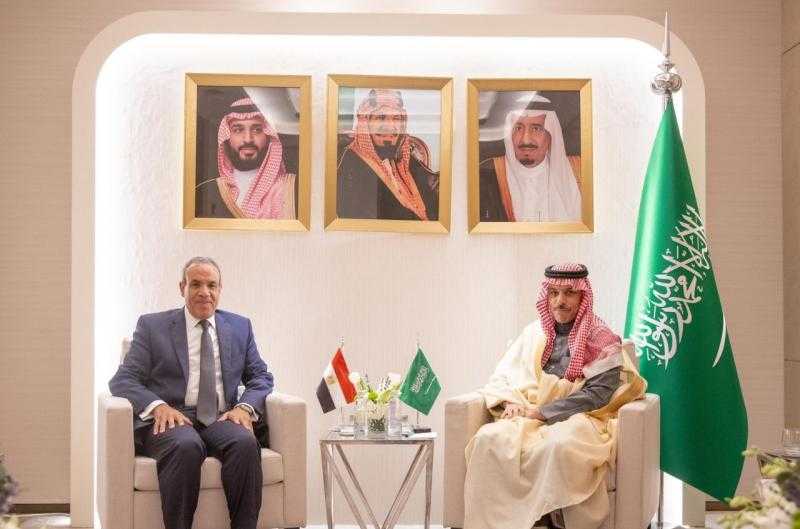 وزيرا خارجية مصر والسعودية يؤكدان أهمية احترام سيادة سوريا ووحدة وسلامة أراضيها