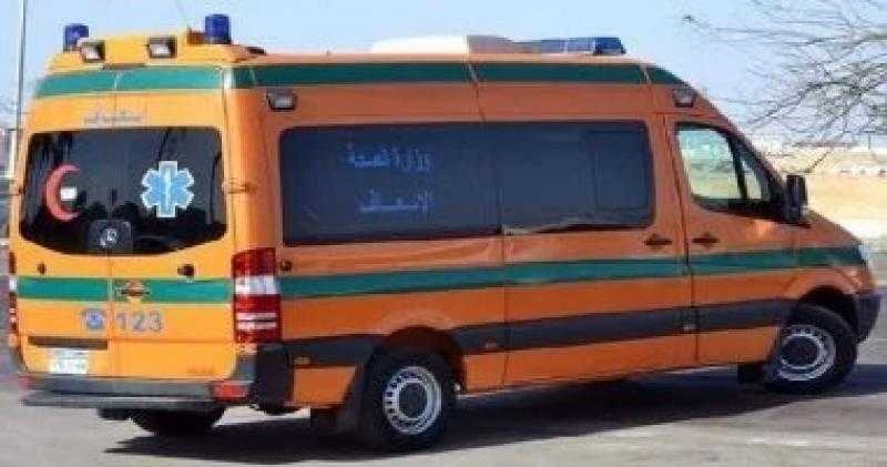مصرع شخص وإصابة 18 آخرين في تصادم سيارتين بطريق برج العرب بالإسكندرية