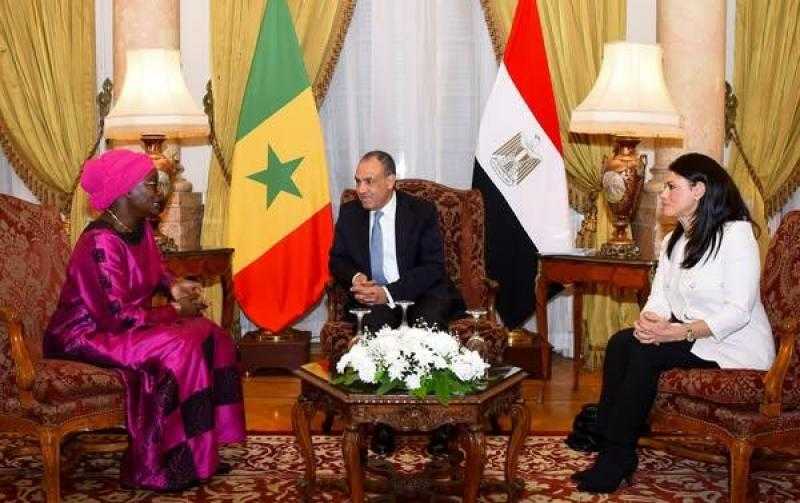 تفاصيل لقاء وزير الخارجية بنظيرته السنغالية لبحث التعاون التجاري بين البلدين