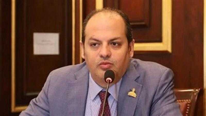 عضو بالشيوخ: مصر جهزت أكبر قافلة مساعدات إنسانية لدخولها إلى غزة