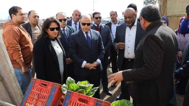 محافظ كفرالشيخ ووزير الزراعة النيجيري يتفقدان برنامج إنتاج تقاوي الخضر |صور