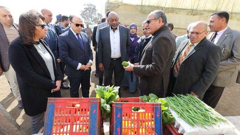 محافظ كفرالشيخ ووزير الزراعة النيجيري يتفقدان البرنامج الوطني لإنتاج تقاوي الخضر بالبحوث الزراعية بـ”سخا”