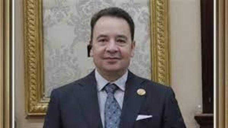 عضو بالشيوخ: الرئيس السيسي قائد بحنكة مخابراتية يعمل لمصلحة الوطن
