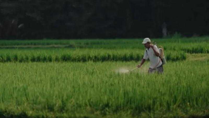 مركز البحوث: وضع خطة لاستزراع 4 ملايين فدان إضافية في المناطق الصحراوية