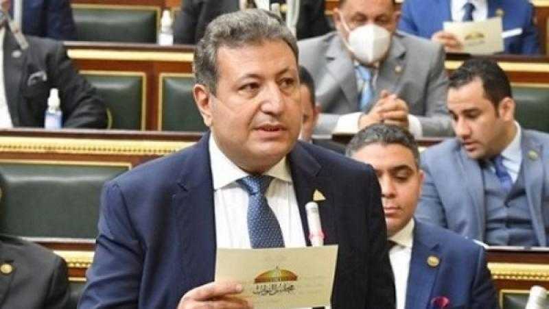 طارق شكري محذرًا من خطورة مخططات ترامب: الشعب المصري والدول العربية يصطفون خلف الرئيس