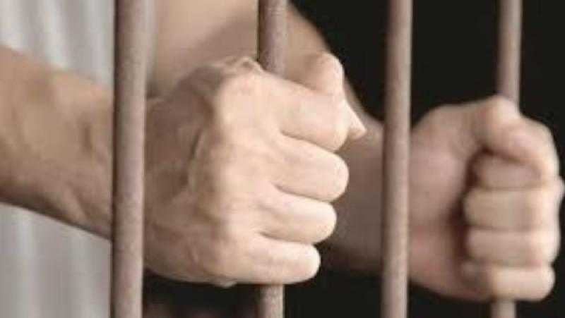 اليوم.. النطق بالحكم في استئناف نجل زوجة الشيف الشربيني