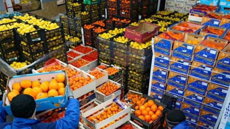 الزراعة: احتياجات المواطن المصري أولوية.. ونصدر ما يفيض
