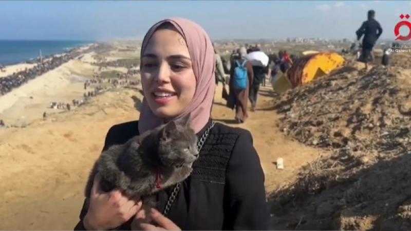 سيدة غزية وطفلها وقطتها.. رحلة إنسانية تحت القصف للعودة إلى الديار