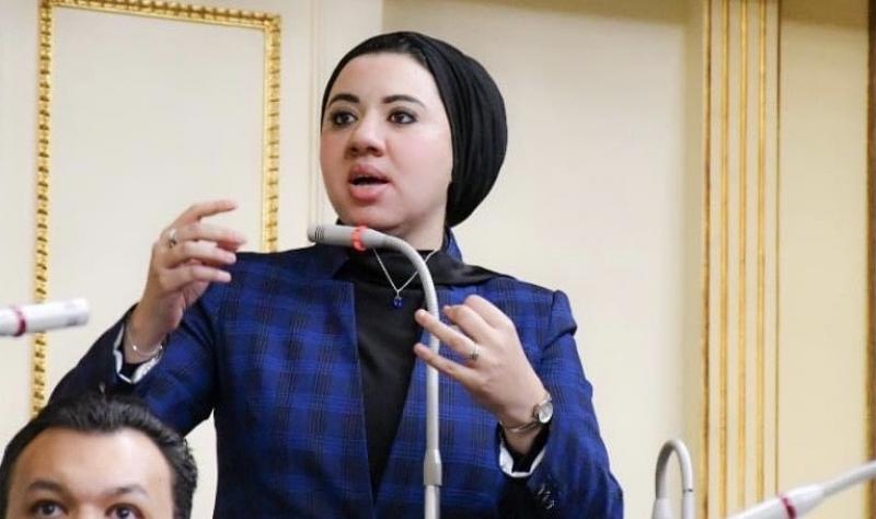 عضو بـ«النواب»: رفض رسمي وحزبي وشعبي لتهجير الفلسطينيين خارج أراضيهم
