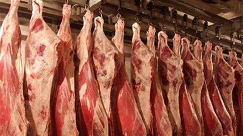 استقرار أسعار اللحوم اليوم الأربعاء