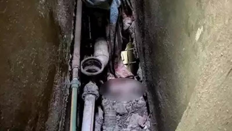 حبس شاب وفتاة فى واقعة إلقاء رضيعة بمنور عقار بشبرا الخيمة