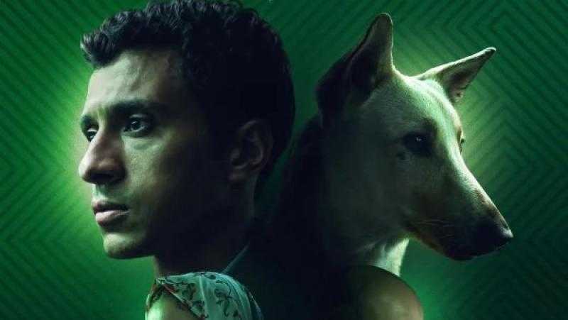 مخرج فيلم ”البحث عن منفذ لخروج السيد رامبو”: الكلب بلدي