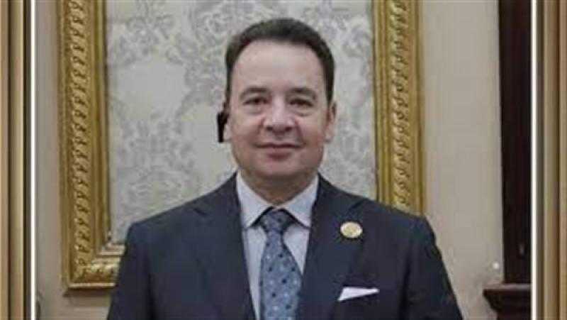 إشادة بموقف السيسي| عضو بالشيوخ: مصر حصن منيع أمام المخططات الصهيوأمريكية