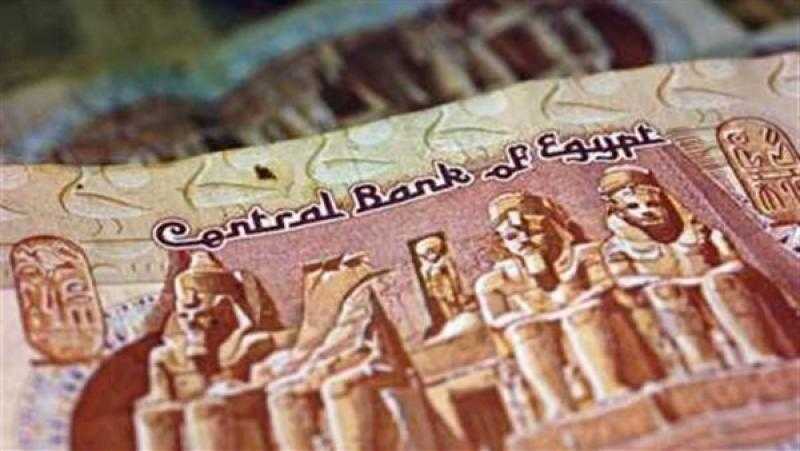 أستاذ اقتصاد: الجنيه المصري مظلوم.. وسعر صرفه الحالي غير حقيقي