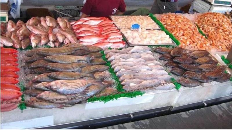 انخفاض أسعار البلطي والجمبري اليوم الثلاثاء 4 فبراير