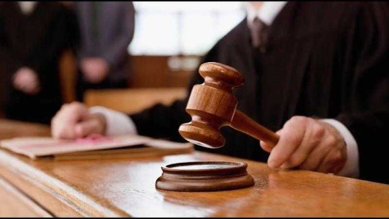اتهامات وتهديد بالضرب.. ننشر نص أمر إحالة زوج وحما بلوجر شهيرة للمحاكمة