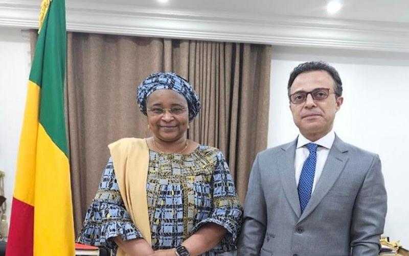 سفير مصر بباماكو يبحث مع وزيرة الصحة والتنمية الاجتماعية المالية التعاون بين البلدين