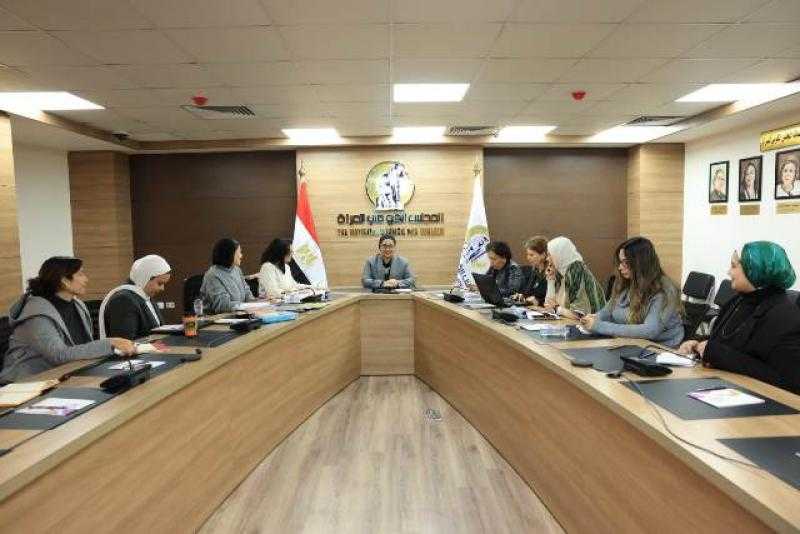 تعاون جديد بين القومي للمرأة ومؤسسة ”سيف” لرفع الوعي بقضايا النساء والطفل