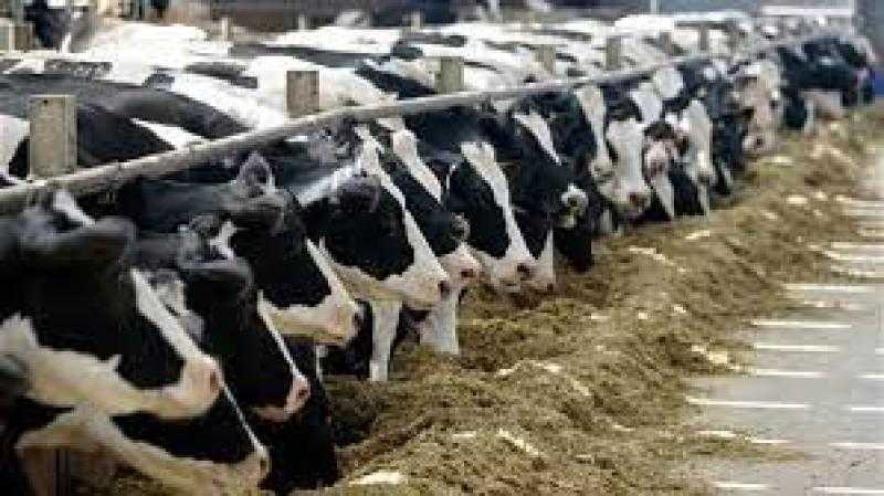الزراعة توافق على صرف 299 مليون جنيه تمويلا جديدا للمشروع القومى للبتلو