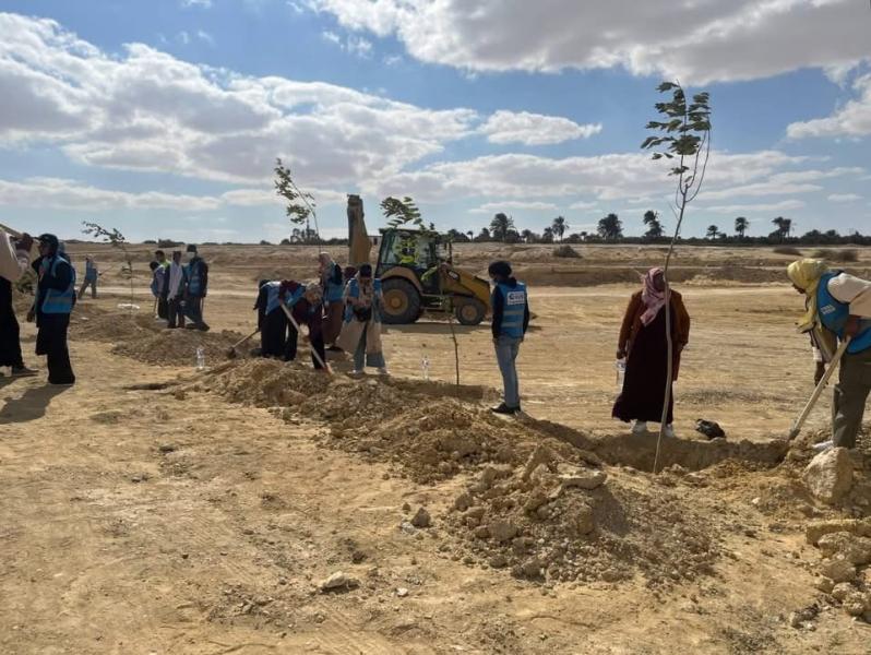 وزارة البيئة تشارك المجتمع المدنى فى زراعة الطرق المؤدية لمداخل محميتى قارون ووادى الريان بالفيوم