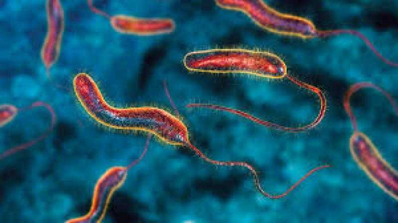 جنوب السودان: عمال النظافة في جوبا ضحايا وباء الكوليرا