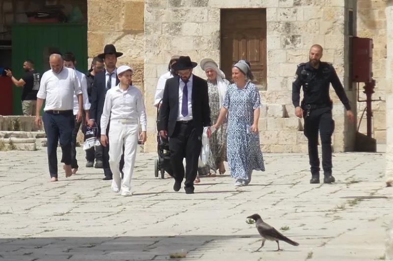 مستوطنون يقتحمون المسجد الأقصى وسط حماية من شرطة الاحتلال الإسرائيلية