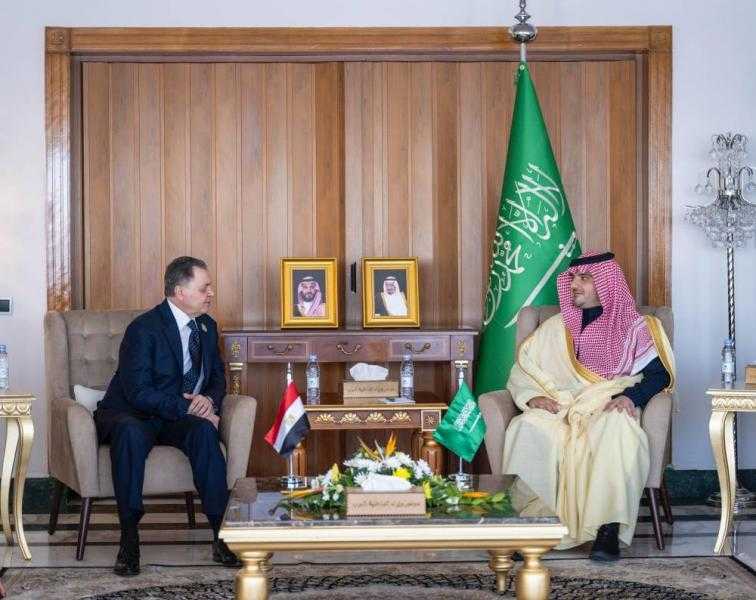 وزير الداخلية السعودي يبحث مع نظيره المصري مسارات التعاون الأمني القائم بين البلدين