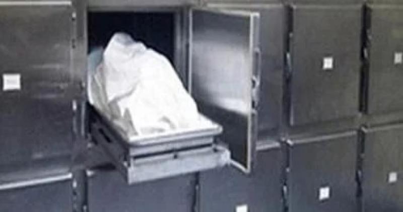 مصرع شخص وإصابة اثنين آخرين إثر حادث سقوط تروسيكل داخل ترعة بالدقهلية