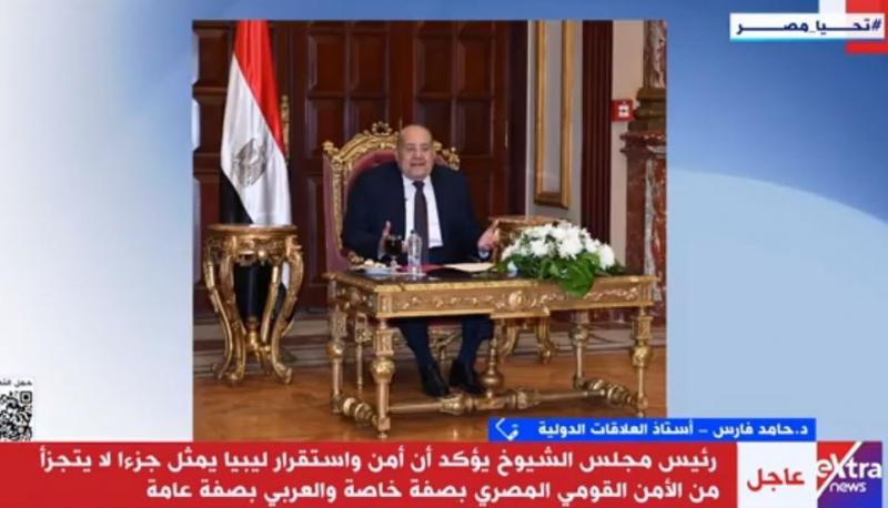 أستاذ علاقات دولية: مصر تلعب دورا محوريا في حل الأزمة الليبية