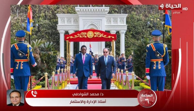 أستاذ إدارة: القطاع الخاص المصري أمام فرصة ذهبية للاستثمار في زامبيا