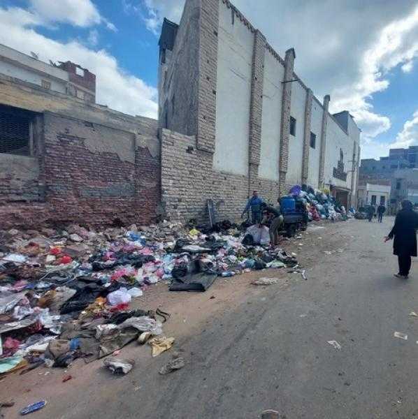 رفع 630 طن مخلفات بلدية وتراكمات قمامة بمدينتي المنصورة وطلخا