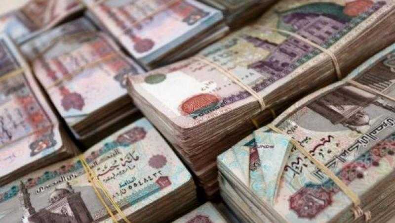 باحث: الحزمة الجديدة للدعم الاجتماعي تعكس التزام الدولة بتحسين جودة حياة المواطنين